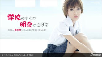 小封面