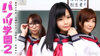 小封面