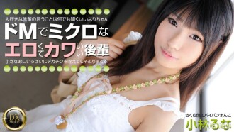小封面