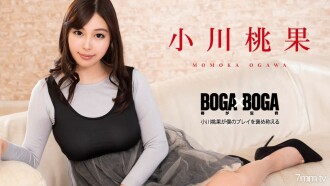 小封面