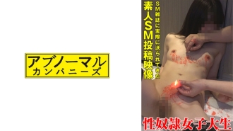 小封面