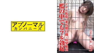 小封面