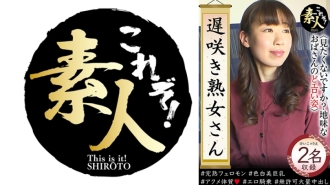小封面