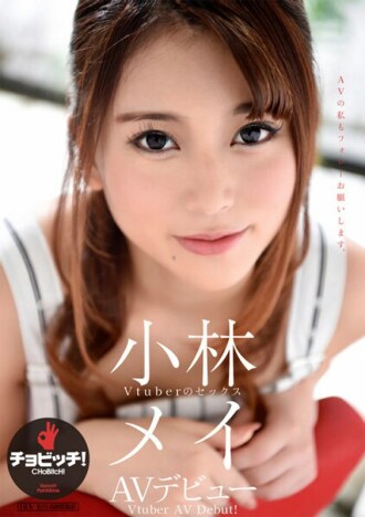 小封面