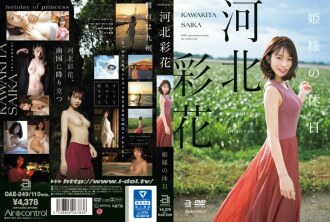 小封面