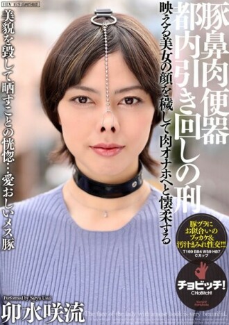 小封面