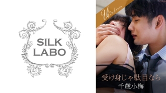 小封面